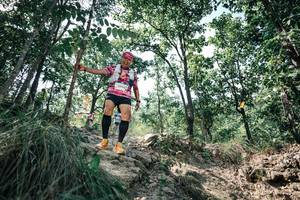 BIB: 
                            <button type="button" onclick="openModal(25989768)" class="btn btn-primary btn-sm float-right btn-popup" data-toggle="modal" data-target=".modal-high-quality">
                        <i class="fas fa-shopping-cart"></i> Add to Cart
                    </button>
                                            <button type="button" onclick="isThisMe(25989768, true)" class="btn btn-success btn-sm float-right btn-popup btn-isme hidden" data-toggle="tooltip" data-placement="bottom" title="นี่คือรูปของคุณใช่ไหม คลิกที่นี่เพื่อเอาเข้าอัลบั้ม">
                        <i class="fas fa-plus"></i> Add to album
                    </button>
                    <button type="button" onclick="isThisMe(25989768, false)" class="btn btn-warning btn-sm float-right btn-popup btn-isnotme hidden">
                        <i class="fas fa-ban"></i> Remove from album
                    </button>